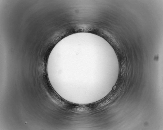 X0000099320459200805231428