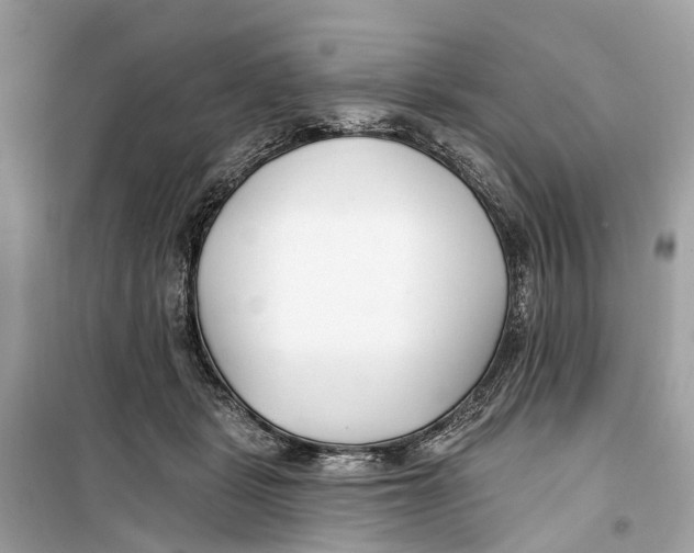 X0000099320461200805231428