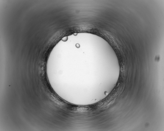 X0000099320462200805231428