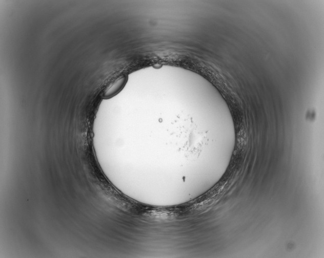 X0000099320464200805231428