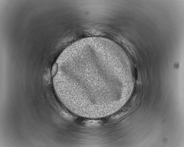 X0000099320465200805231428