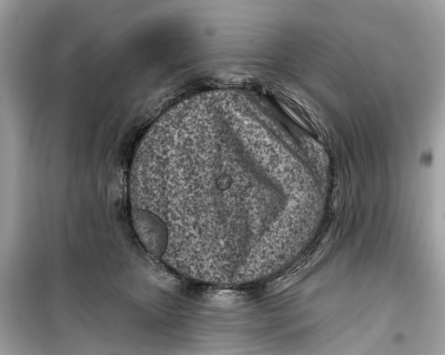 X0000099320467200805231428