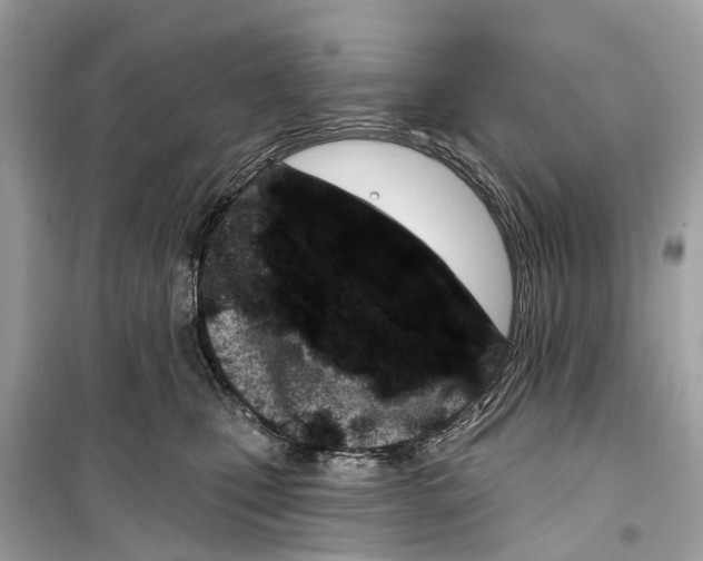 X0000099320471200805231428