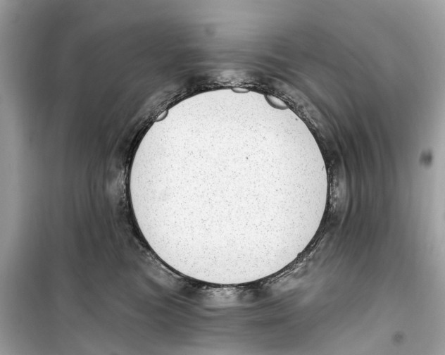 X0000099320473200805231429