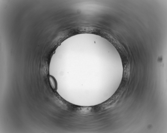 X0000099320474200805231429