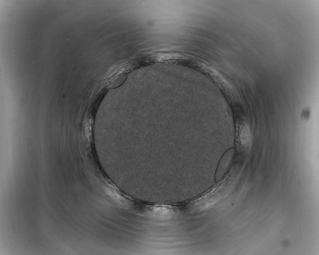 X0000099320475200805231429