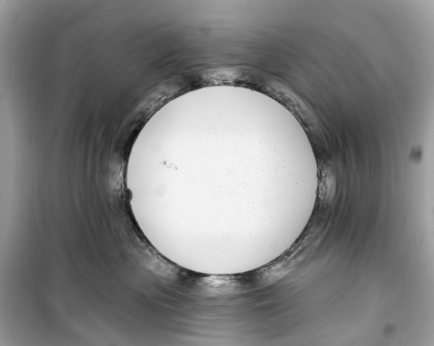 X0000099320477200805231429