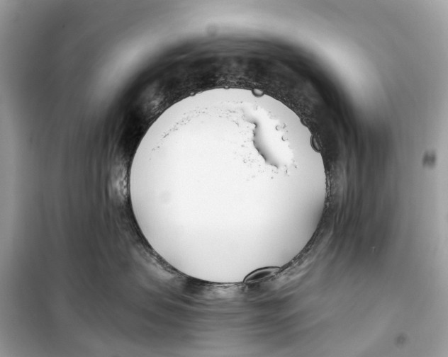 X0000099320479200805231429