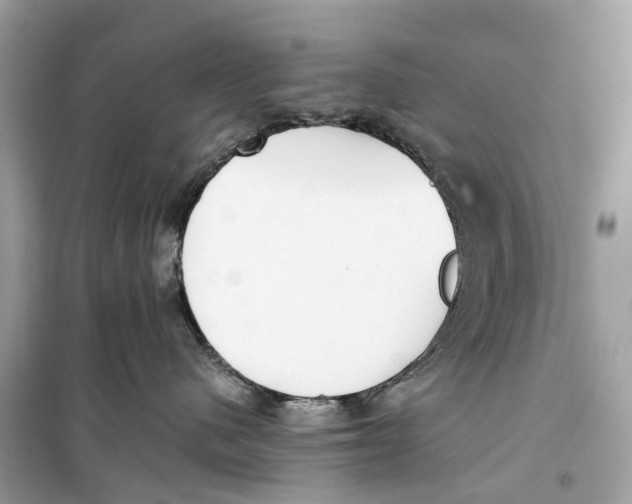 X0000099320480200805231429