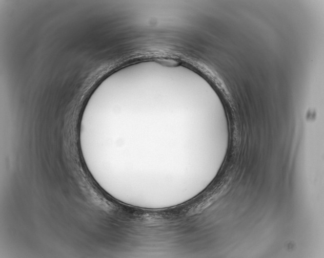 X0000099320481200805231428