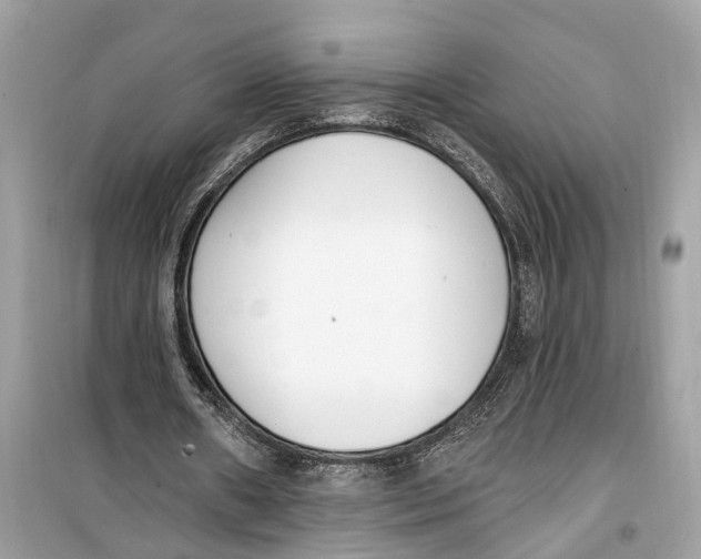 X0000099320482200805231428