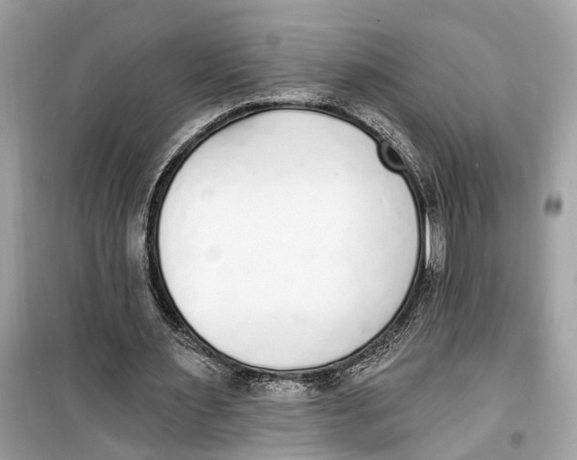 X0000099320483200805231428