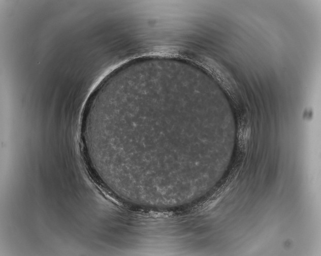 X0000099320484200805231428