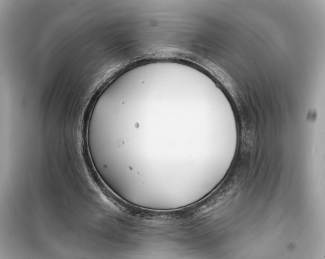 X0000099320485200805231428