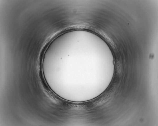 X0000099320486200805231428