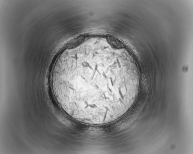 X0000099320487200805231428