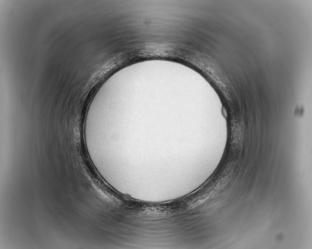 X0000099320489200805231428