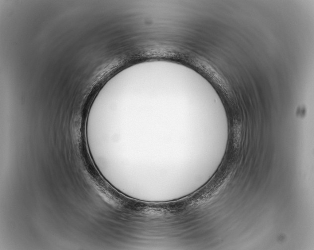 X0000099320490200805231428