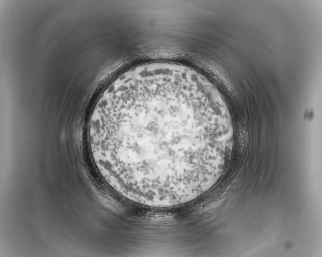 X0000099320491200805231428