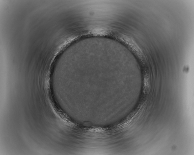 X0000099320492200805231428