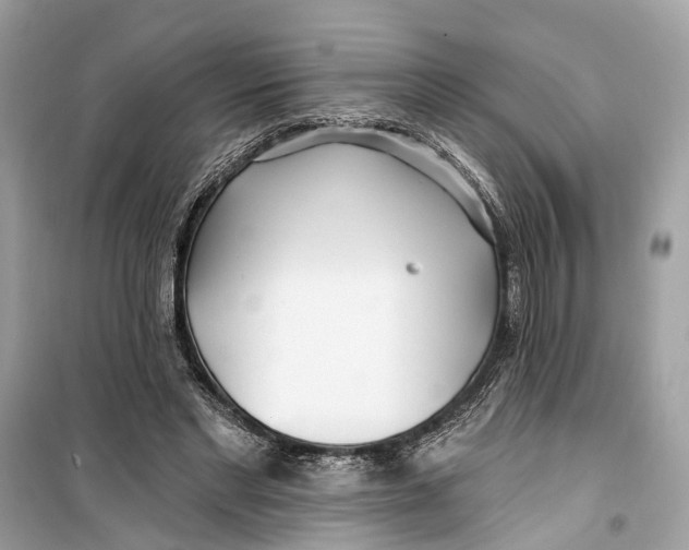 X0000099320493200805231428