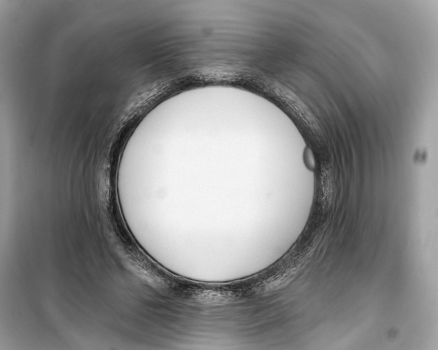 X0000099320494200805231428