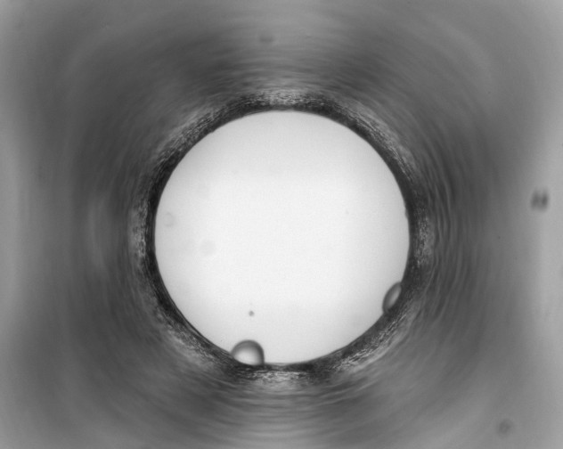 X0000099320497200805231428