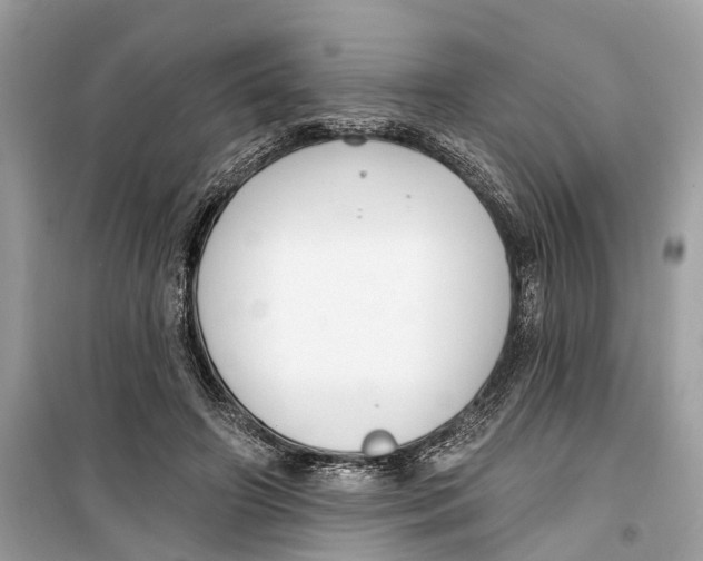 X0000099320498200805231428