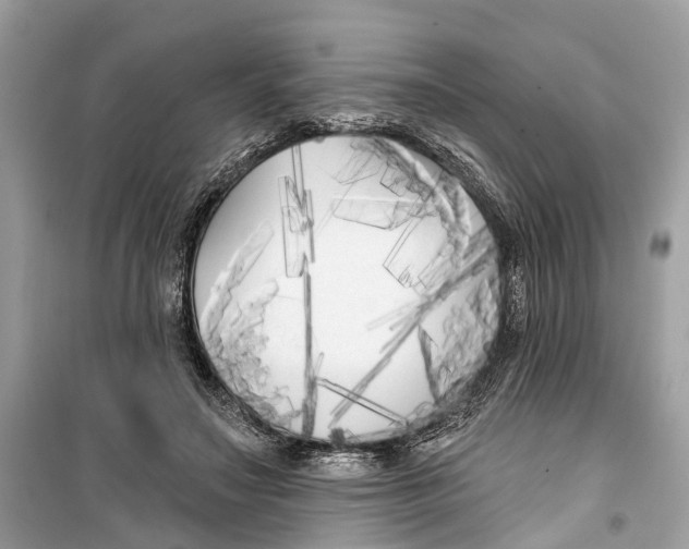 X0000099320499200805231428