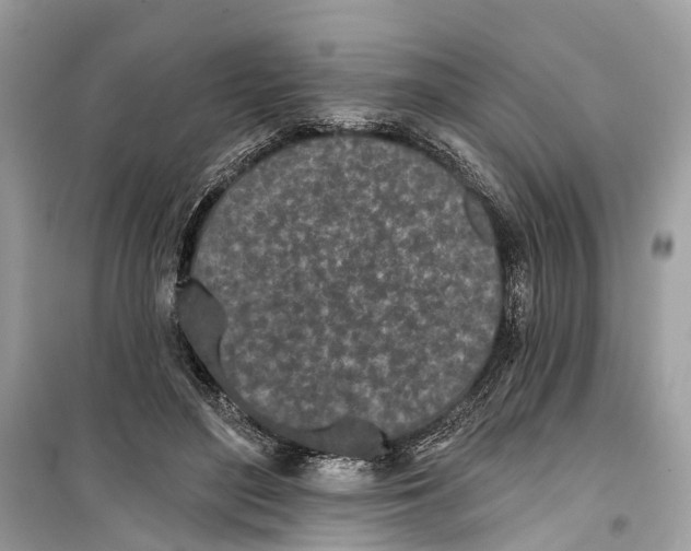 X0000099320500200805231428