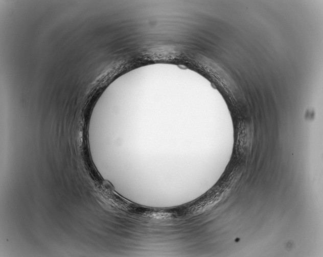 X0000099320501200805231428