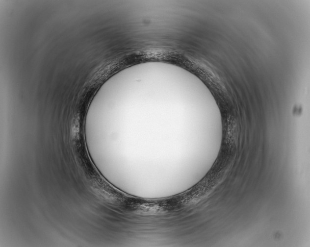 X0000099320502200805231428