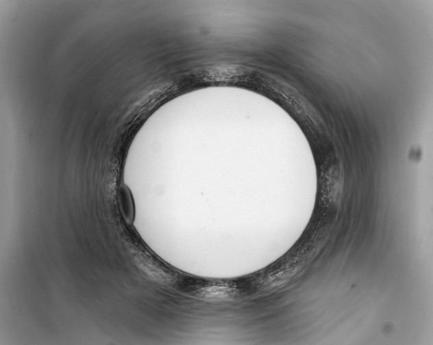 X0000099320505200805231428