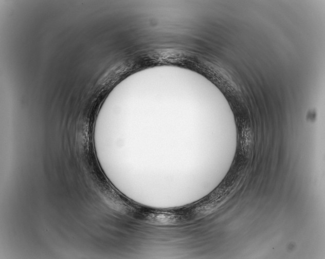 X0000099320506200805231428