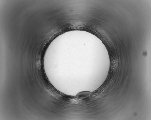 X0000099320508200805231428