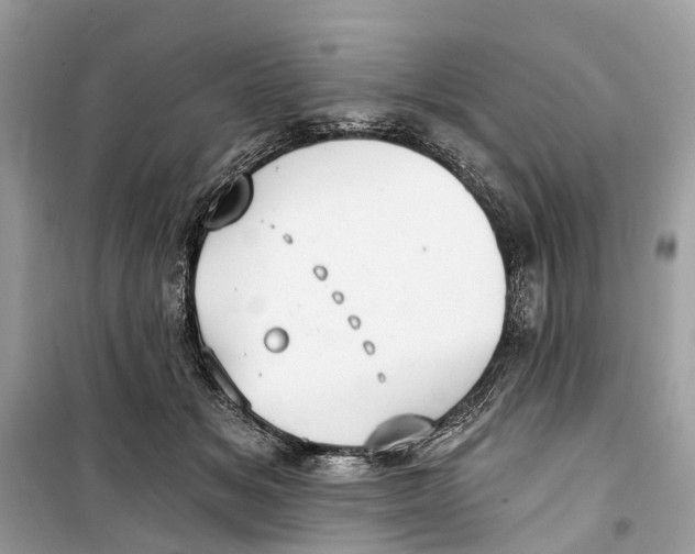 X0000099320509200805231428