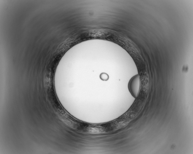 X0000099320510200805231428