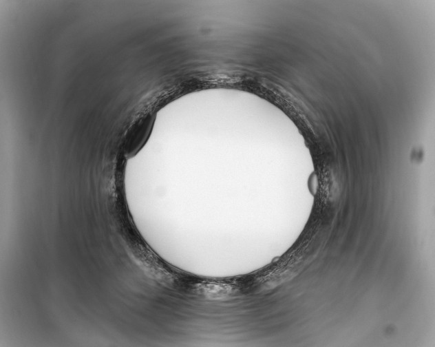 X0000099320512200805231428