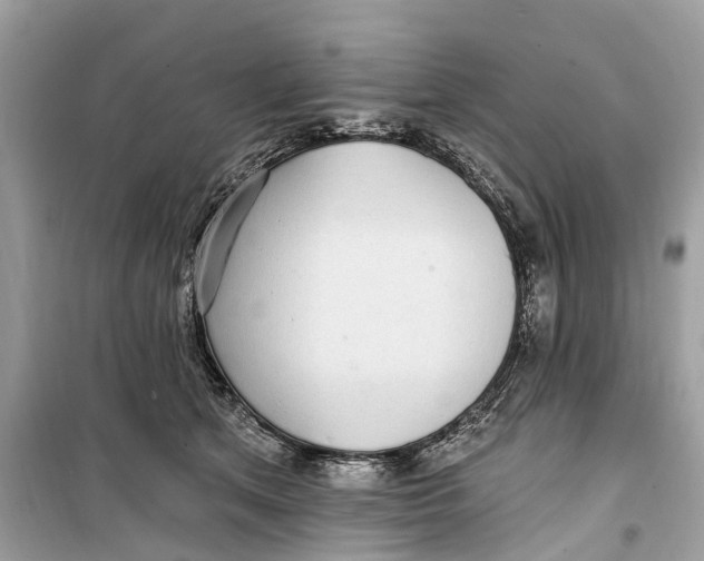 X0000099320513200805231428