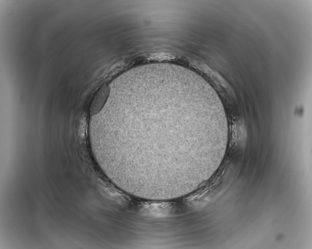 X0000099320517200805231428