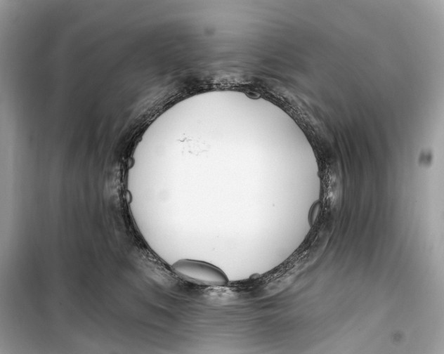 X0000099320519200805231428