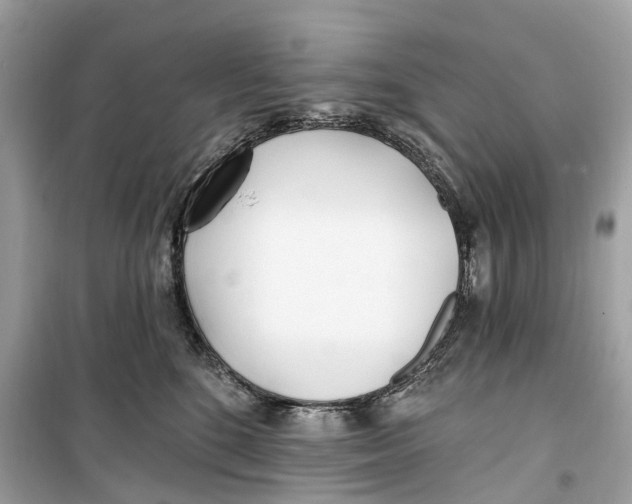 X0000099320520200805231428