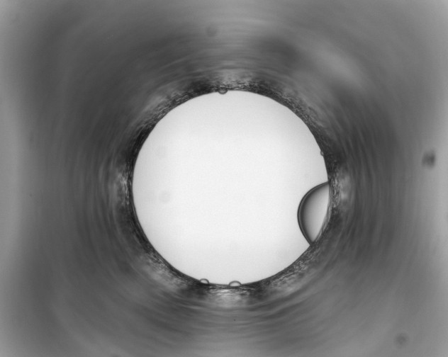 X0000099320522200805231427