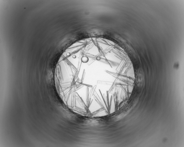 X0000099320523200805231427