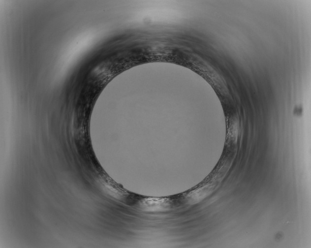 X0000099320526200805231427