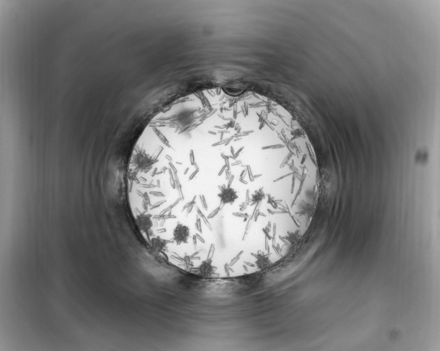 X0000099320527200805231427