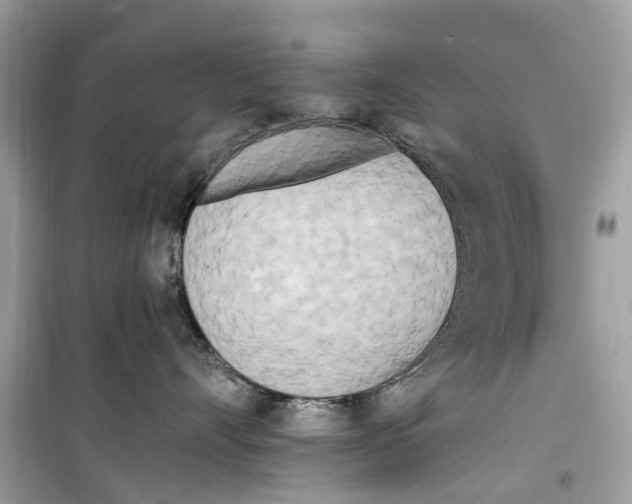 X0000099320528200805231427