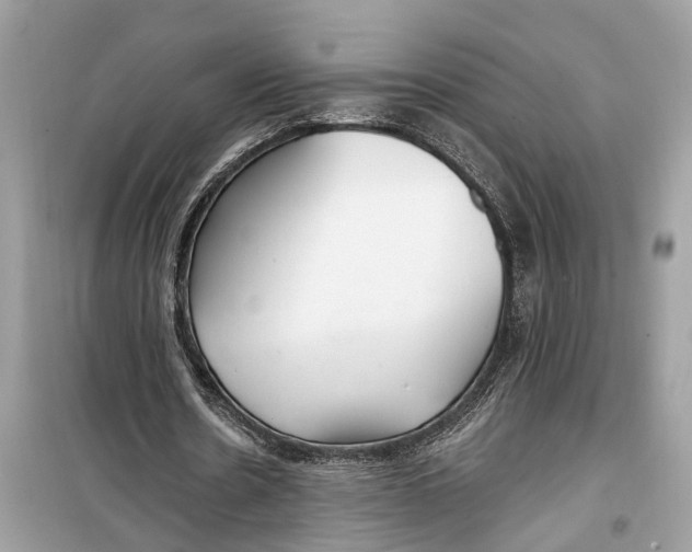 X0000099320530200805231427