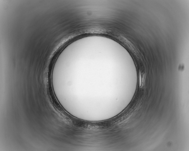 X0000099320531200805231427