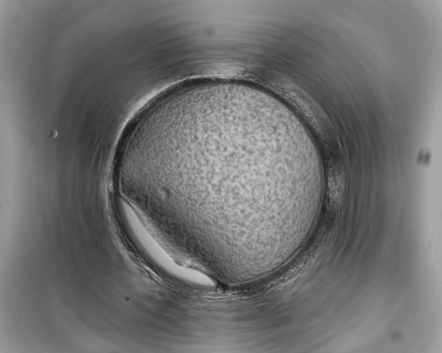 X0000099320532200805231427